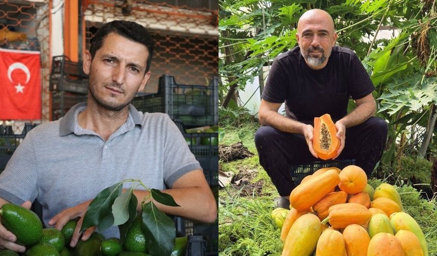 Alanya'da başkanlar konuştu: Avokado fiyatları ve su tüketimi tartışması