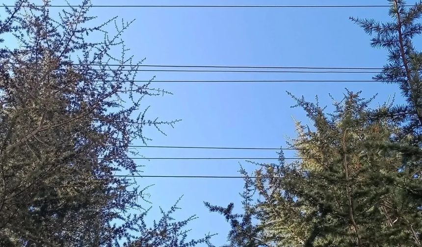 Alanya’da yangın tehlikesi: 40 yıllık sorun, çözüm bekliyor