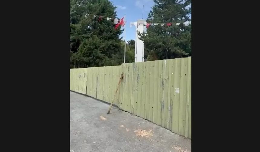 Alaiye Şehitliği'nin bakımsız hali üzüntü yarattı