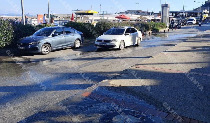 Alanya'da büyük utanç! Rezil rüsva olduk, lağım kabusu iskeleyi bitirdi