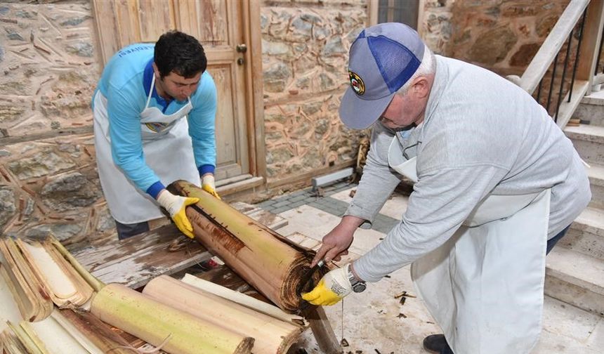 Alanya’da sektörel çıkmaz ve markalaşma hamlesi