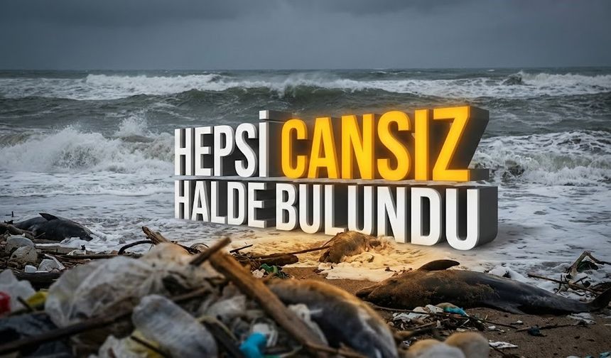 Dalgalar getirdi, görenlerin kanı dondu