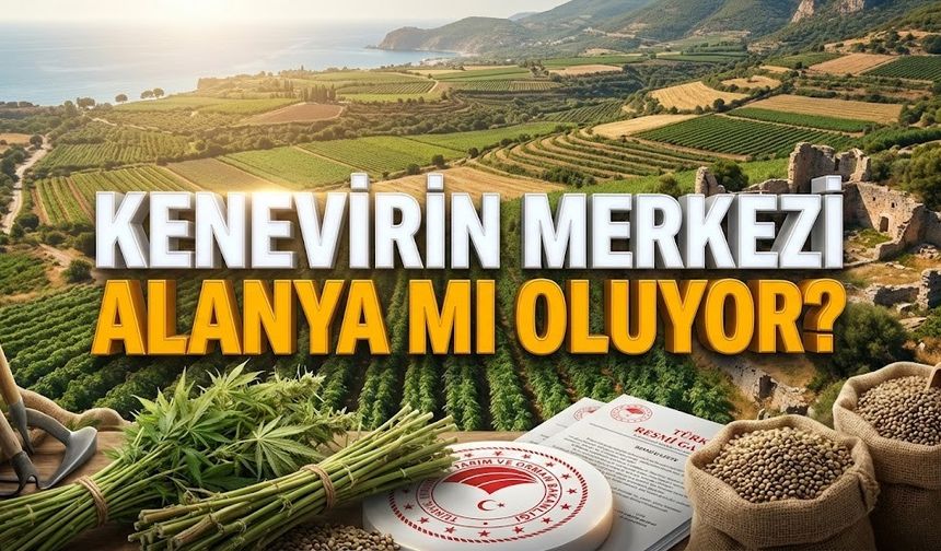 Duyan inanamadı: Alanya’da kenevir üretimi, devlet takip edecek