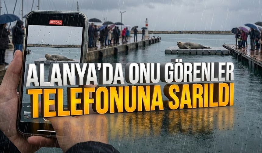Alanya’da onu görenler telefonuna sarıldı
