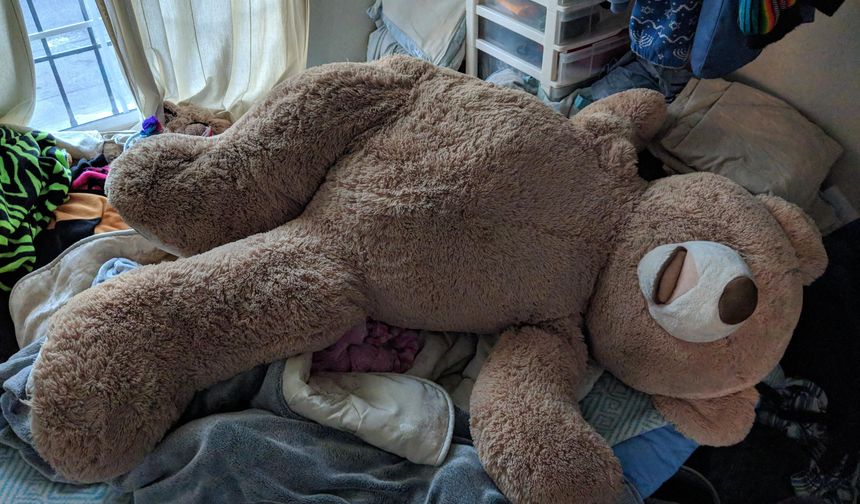 Alanya bu hırsızları konuşuyor: Ayıyı kucaklayıp kaçtılar!