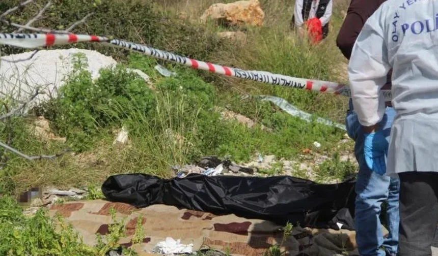 Alanya’nın komşusunda yolda c*set bulundu