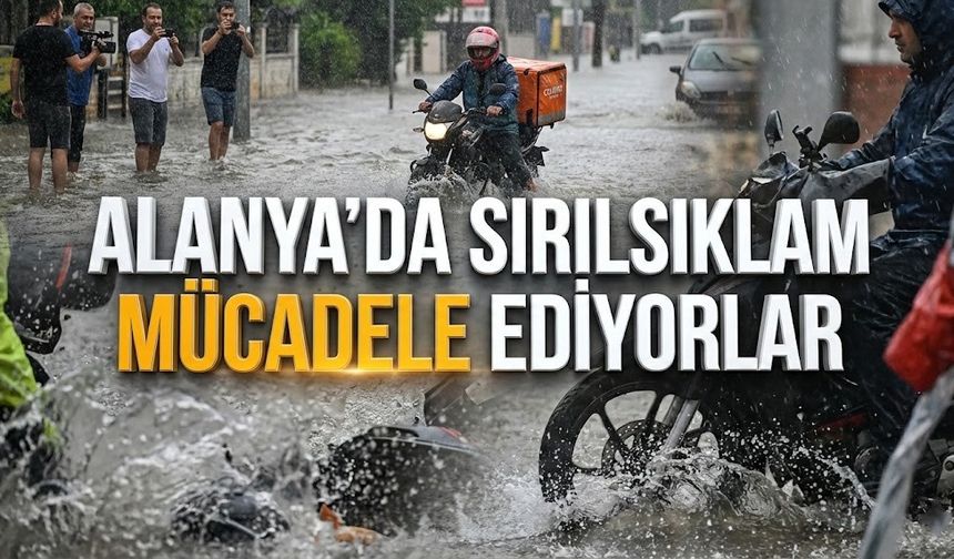 Alanya'da kuryelerin imtihanı yürek burktu