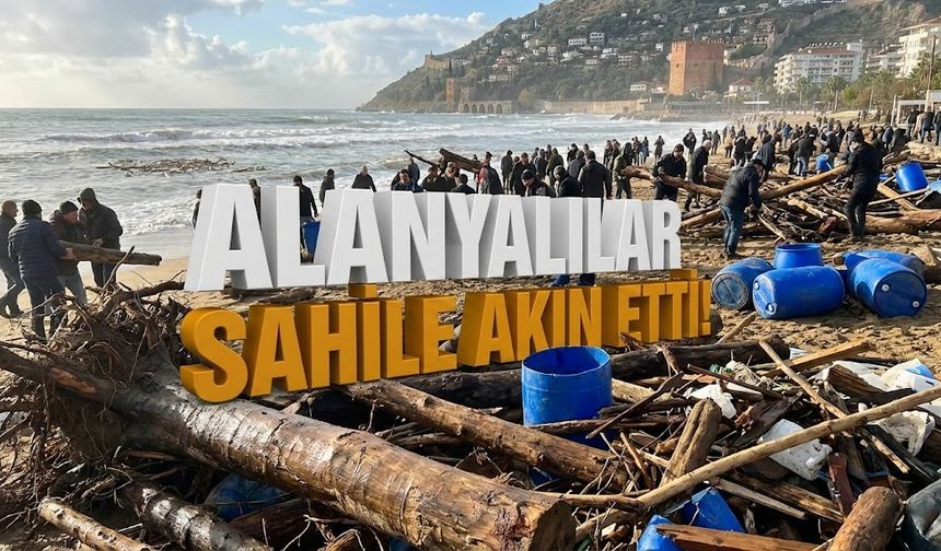 Azgın dalgalar odun taşıdı: Alanyalılar sahile akın etti!