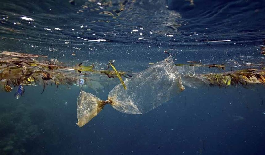 Alanya’da 'Kirleten ifşa edilsin' seferberliği