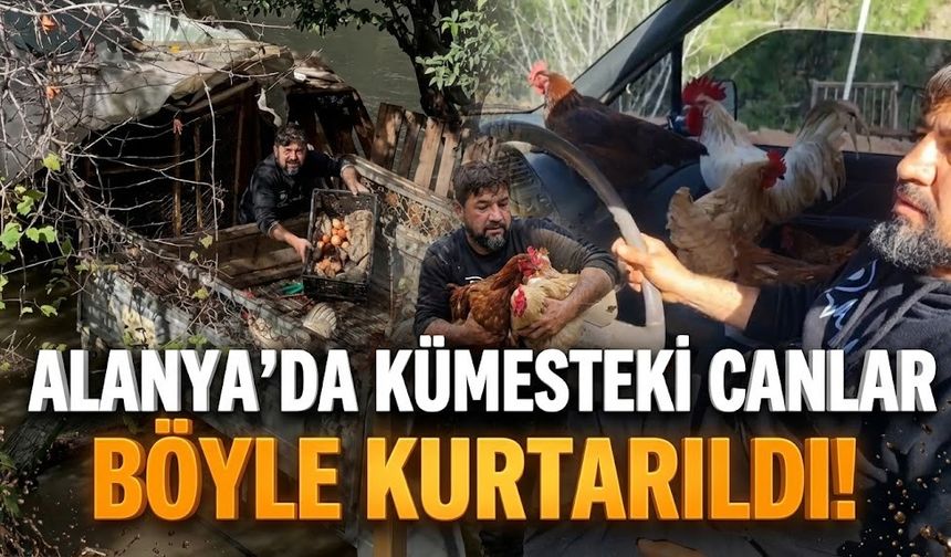 Alanya’da kümesteki canlar böyle kurtarıldı!