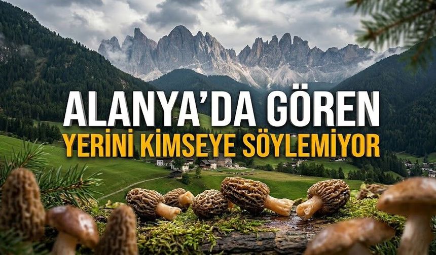 Alanya’da servet yatıyor! Gören yerini kimseye söylemiyor