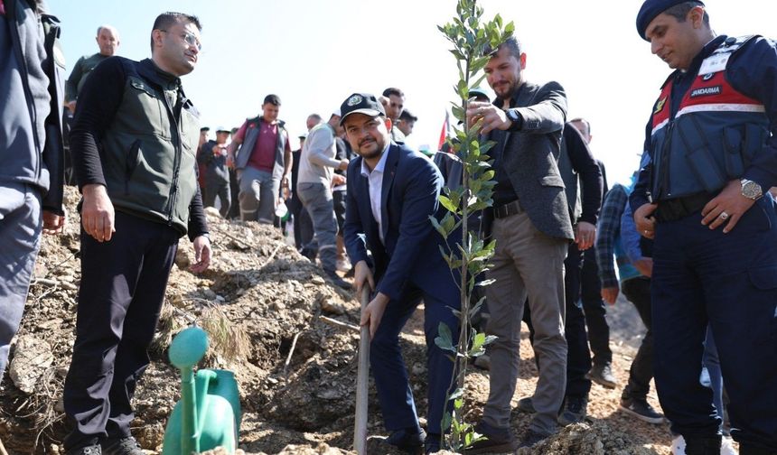 Alanya’nın ciğerleri nefes alıyor: "En güzel fidanları çocuklarla diktik"