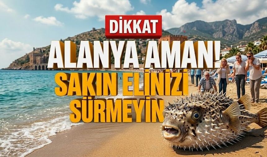 Sahilde görüldü: Zehirli misafire dokunmak yasak!