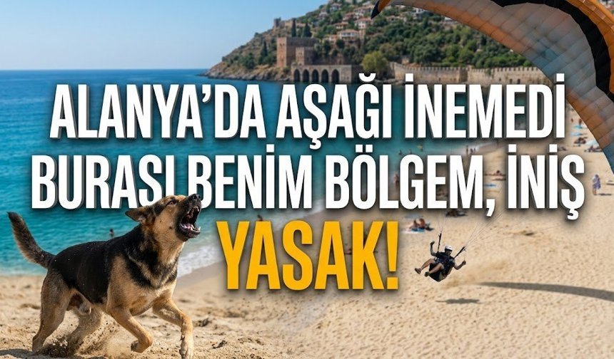 Alanya’da aşağı inemedi: "Burası benim bölgem, iniş yasak!"