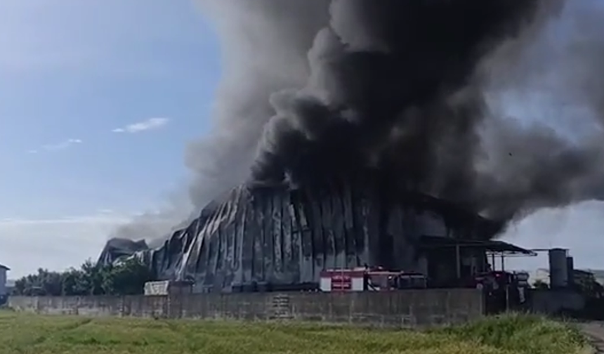 Komşuda patates fabrikası alevlere teslim oldu