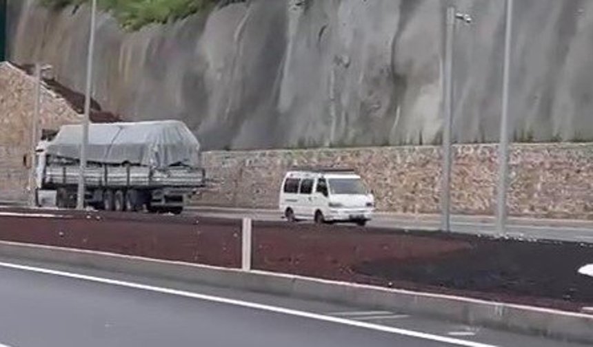 Alanya’da inanılmaz görüntü! Herkesin canına böyle kast etti