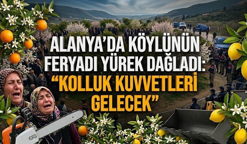 Alanya’da köylünün feryadı yürek dağladı: "Kolluk kuvvetleri gelecek"