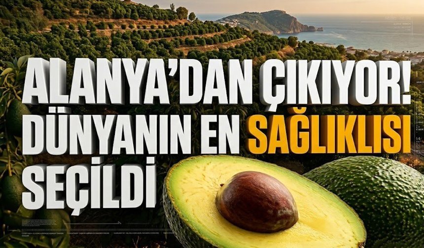Alanya’dan çıkıyor! Dünyanın en sağlıklısı seçildi