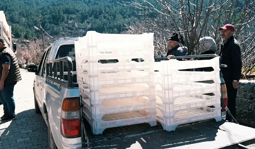 Alanya’da eski usul raflar tarih oluyor