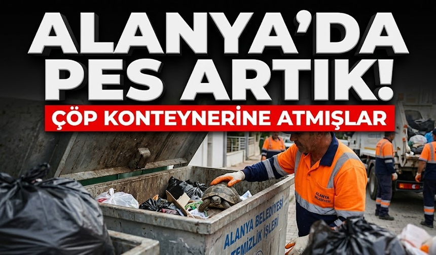 Alanya’da pes artık! Çöp konteynerine atmışlar