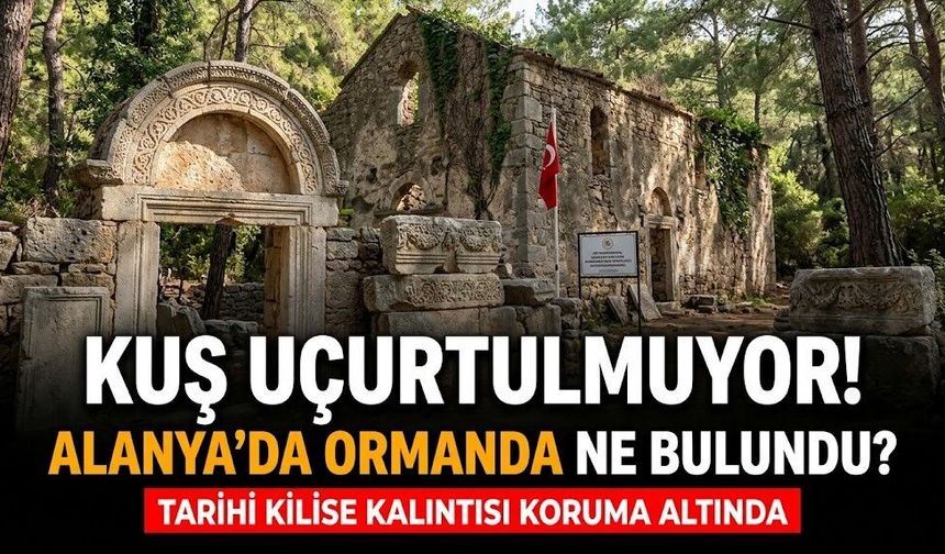 Kuş uçurtulmuyor! Alanya’da ormanda ne bulundu?