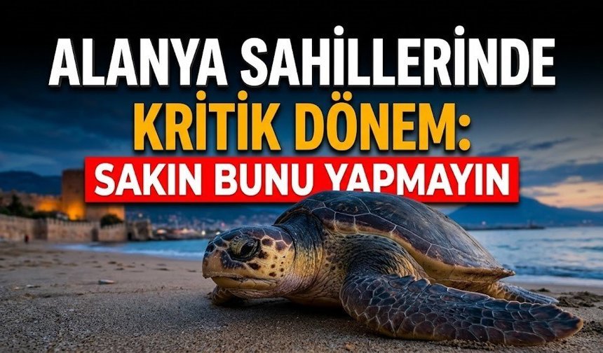 Alanya sahillerinde kritik dönem: Sakın bunu yapmayın