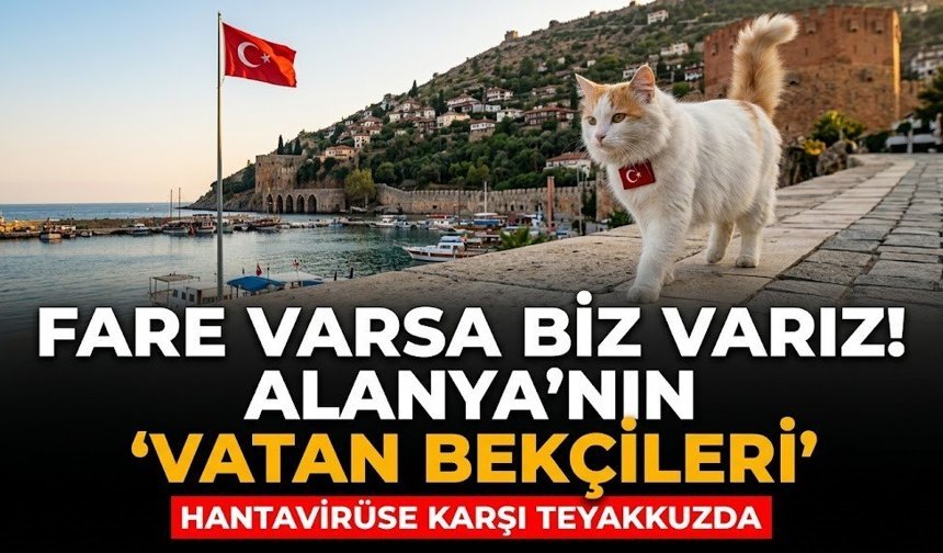 Fare varsa biz varız! Alanya'nın 'Vatan Bekçileri' Hantavirüse karşı teyakkuzda