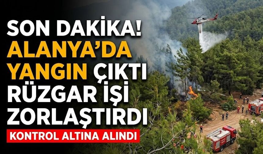 SON DAKİKA! Alanya’da yangın çıktı, rüzgar işi zorlaştırdı