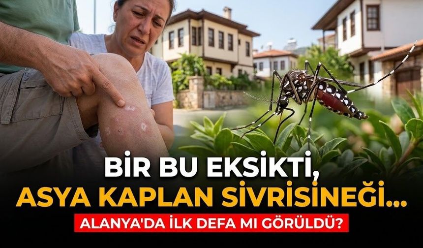 Alanya'da ilk defa mı görüldü? Bir bu eksikti, Asya Kaplan Sivrisineği…