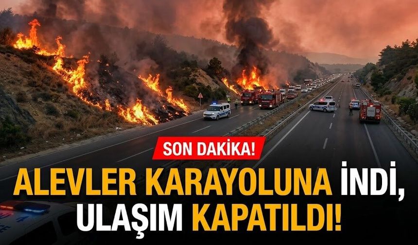 SON DAKİKA! Alevler karayoluna indi, ulaşım kapatıldı!