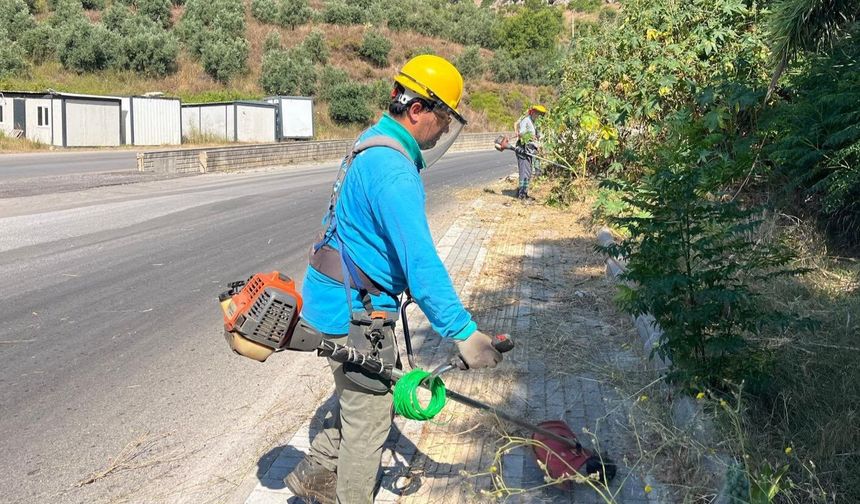 Alanya Belediyesi'nden yeşil alanlarda yoğun mesai