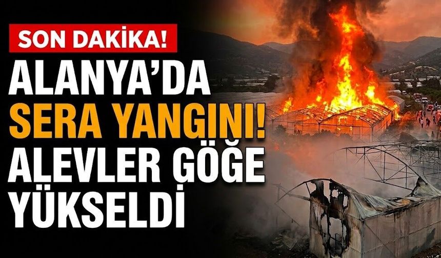 SON DAKİKA! Alanya’da sera yangını! Alevler göğe yükseldi