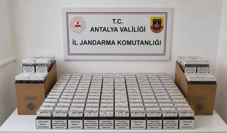 Alanya’da binlerce dolu makaron ele geçirildi
