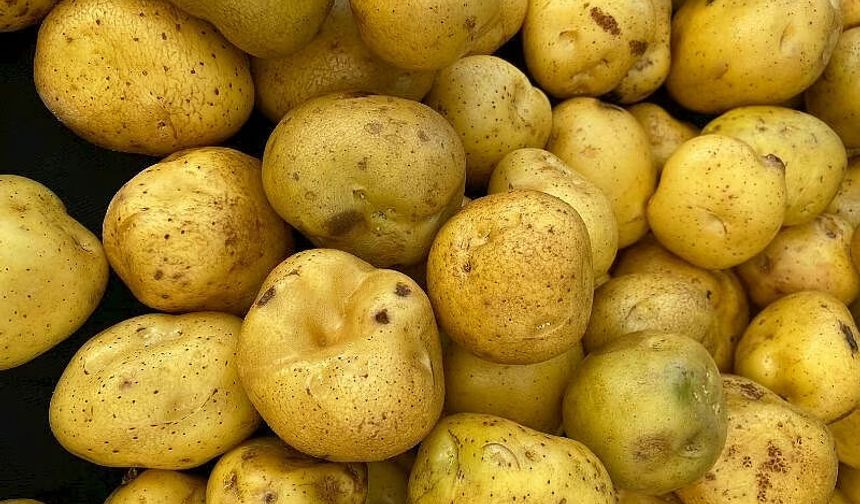 Alanya pazarcısından patates ve soğan isyanı