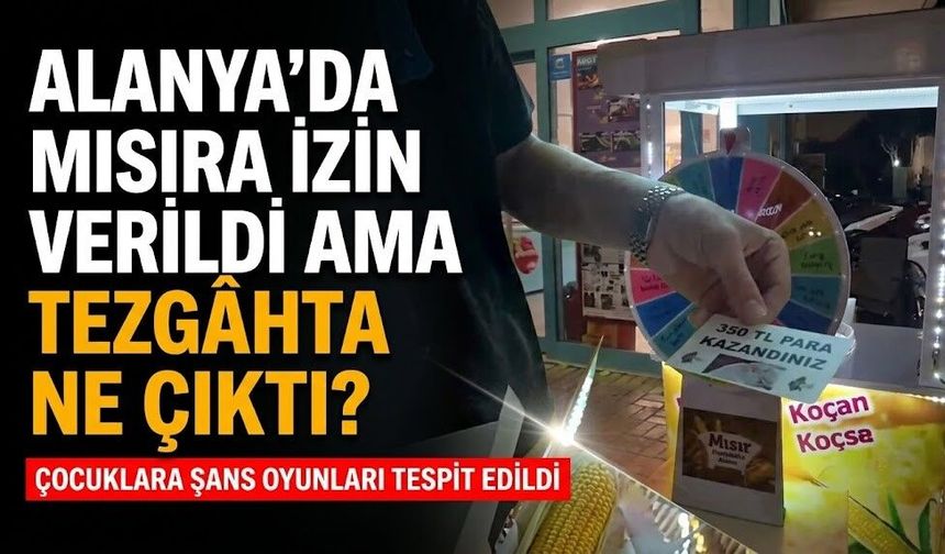 Alanya’da mısıra izin verildi ama tezgâhta ne çıktı?