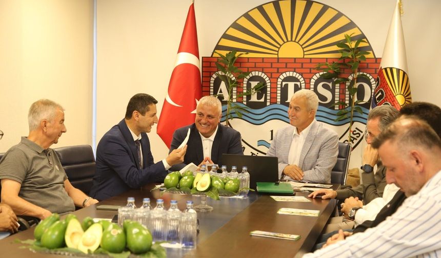 Avokadoda dev adım! Alanya’nın yeşil altını dünya yolunda