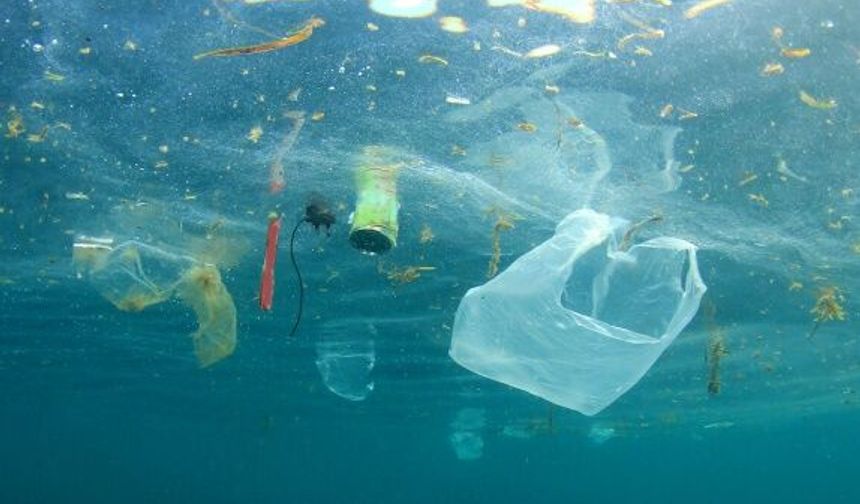 Alanya'yı da vurdu: Akdeniz'in sessiz felaketi çığ gibi büyüyor