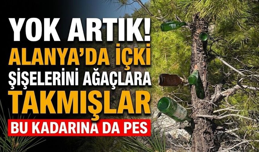 Yok artık! Alanya’da içki şişelerini ağaçlara takmışlar
