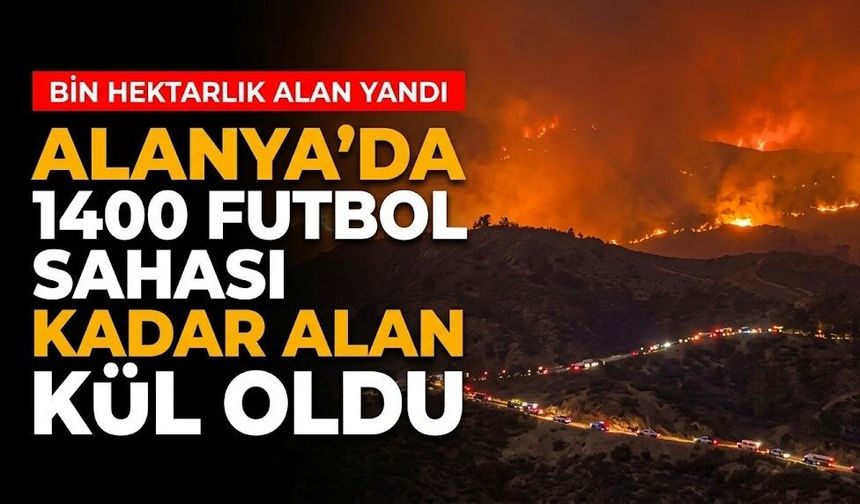 Alanya'da 1400 futbol sahası kadar alan kül oldu