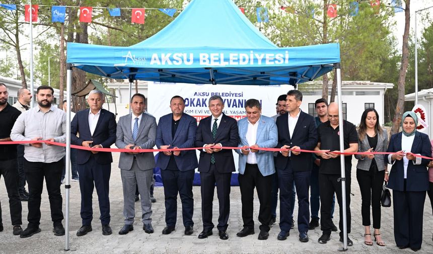 Sokak hayvanları için modern tesis açıldı
