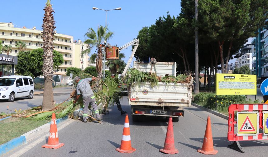 Alanya’da gece gündüz bitmeyen mesai: Sokak sokak yenileniyor