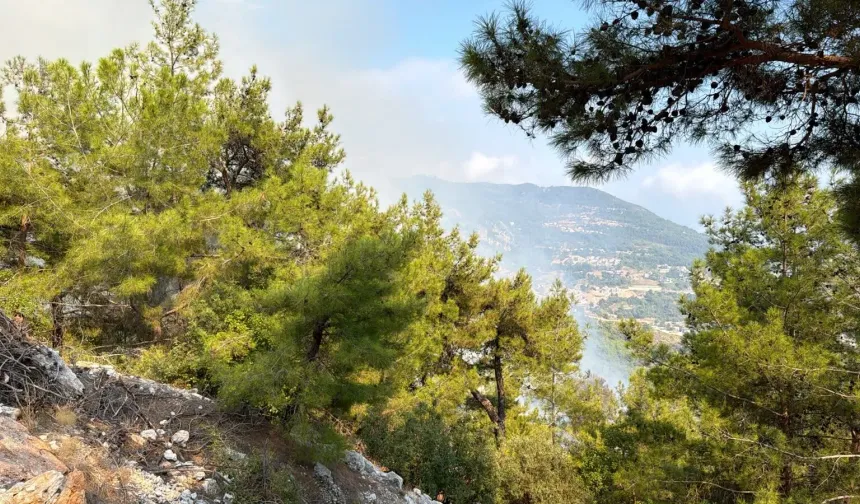 Alanya'da şüpheli yangın: Aynı nokta birkaç gün sonra yine yandı