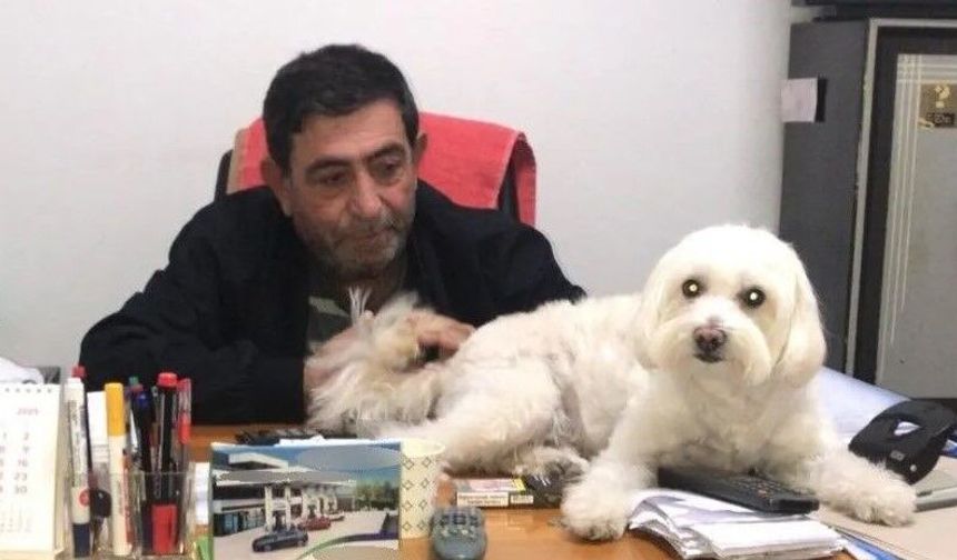 Akaryakıt istasyonu sahibiydi: İş insanı ofisinde ölü bulundu