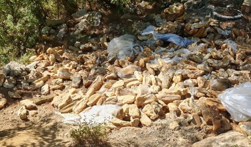 Alanya Oba’da küflü ekmek ihbarına hızlı temizlik