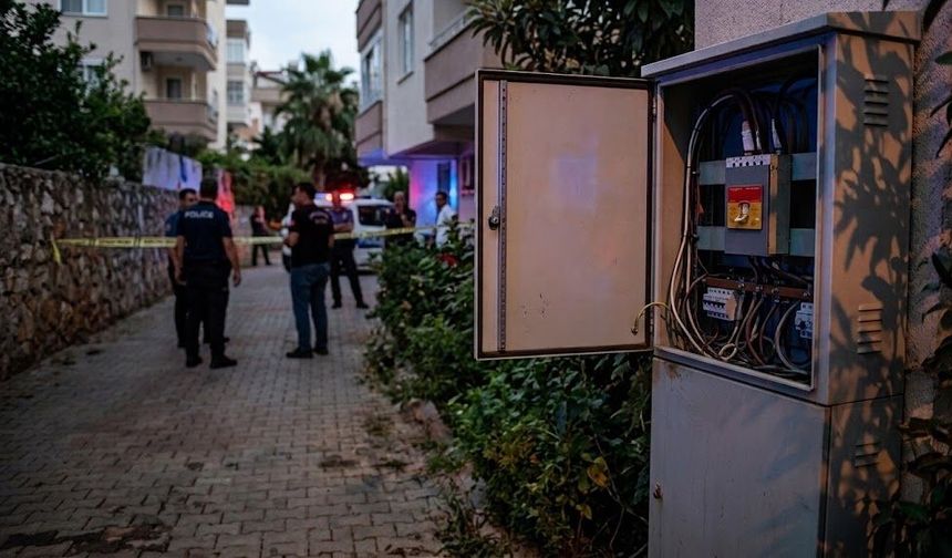 Alanya’da kovalanan anne kedi akıma kapılıp öldü