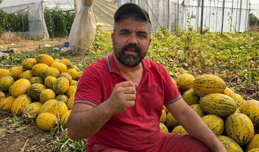 Alanya’ya seslendi: 15 ton kavunu bedava dağıtıyor