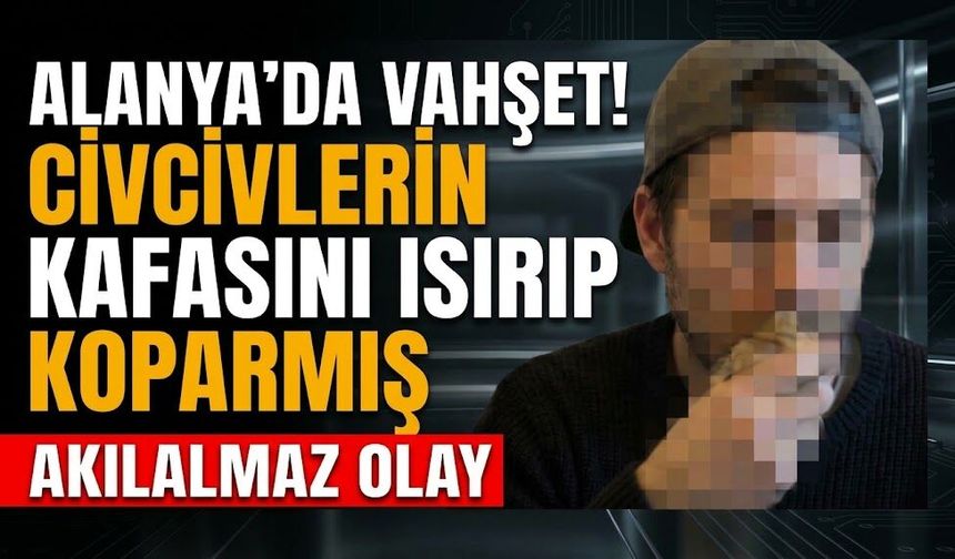 Alanya’da v*hşet! Civcivlerin kafasını ısırıp koparmış