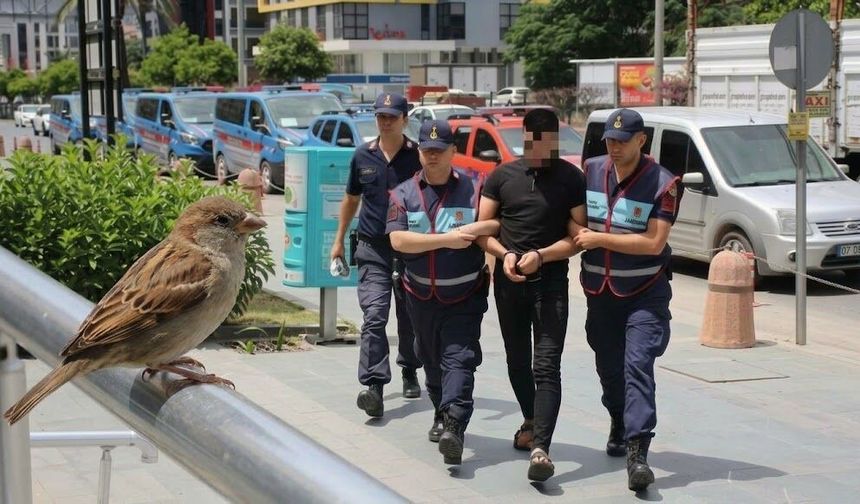 Alanya’da canlı kuşun kafasını koparan adam yakalandı