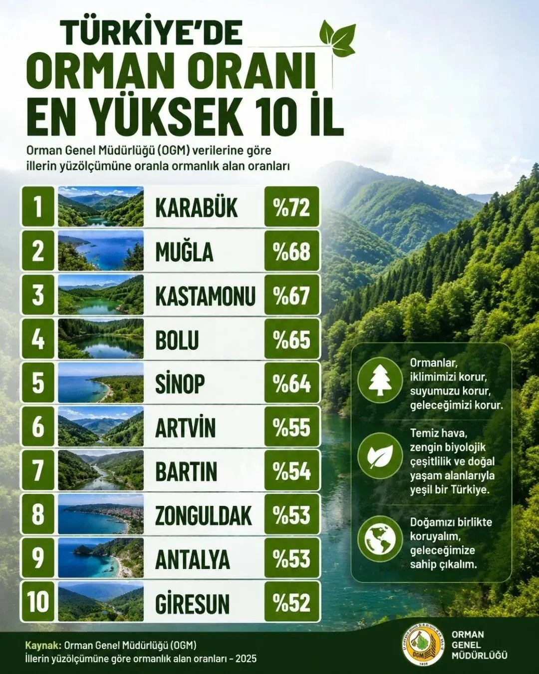 Orman Alani En Yuksek 10 Il